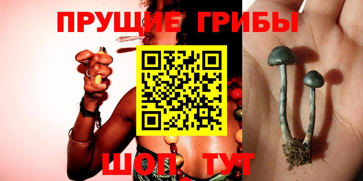 Новороссийск  Псилоцибиновые грибы мухоморы  Вход с VPN 