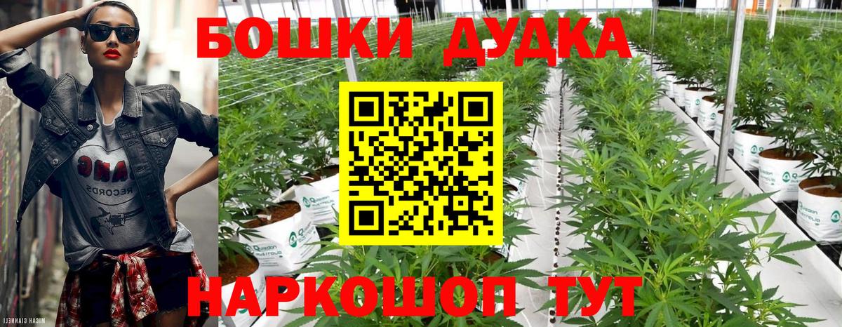 Шишки марихуана тримм  Каннабис AK-47  Вход с VPN  Новороссийск  Бошки марихуана ГИДРОПОН 